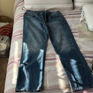 American Eagle Outfitters Dark Blue Straight Jeans 30x30